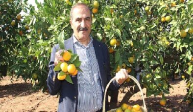 Narenciye sektörü KKTC’de görülen yeşillenme hastalığının Türkiye’ye sıçramaması için topyekûn mücadele istiyor