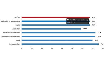 Tüik: Yurt Dışı Üretici Fiyat Endeksi (YD-ÜFE) yıllık %67,25 arttı, aylık %4,70 arttı