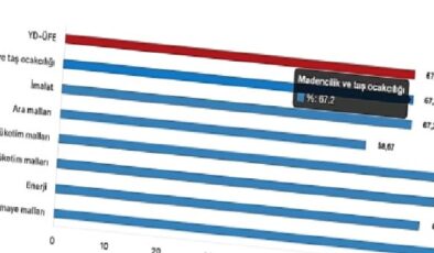 Tüik: Yurt Dışı Üretici Fiyat Endeksi (YD-ÜFE) yıllık %67,25 arttı, aylık %4,70 arttı