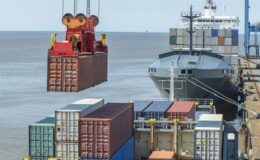 Türkiye’nin sultani çekirdeksiz kuru üzümünün ihraç fiyatı dolar bazında yüzde 29 arttı
