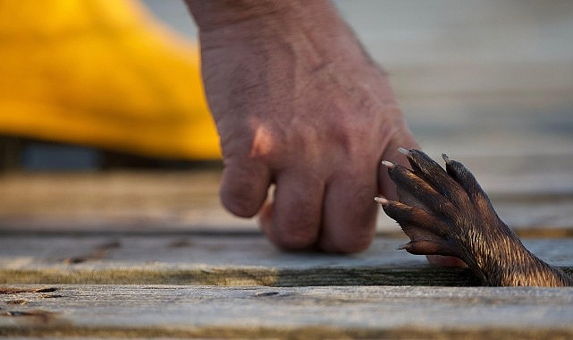 ‘Billy ve Molly: Bambaşka Bir Sevginin Hikayesi’ 26 Mayıs Pazar 21.00’de National Geographic Ekranlarında