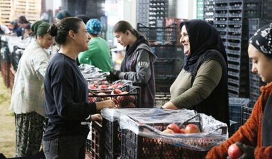 Efes Selçuk Belediyesi’ne bağlı olarak faaliyet gösteren Deppo Efes, yeni sezon için kapılarını açmaya hazır