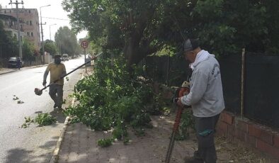 Kemer Belediyesi’nden yeşil alanlarda bakım çalışmaları