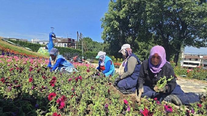 Osmangazi çiçek açıyor