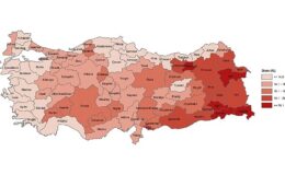 Tüik: Türkiye nüfusunun %15,1’ini genç nüfus oluşturdu